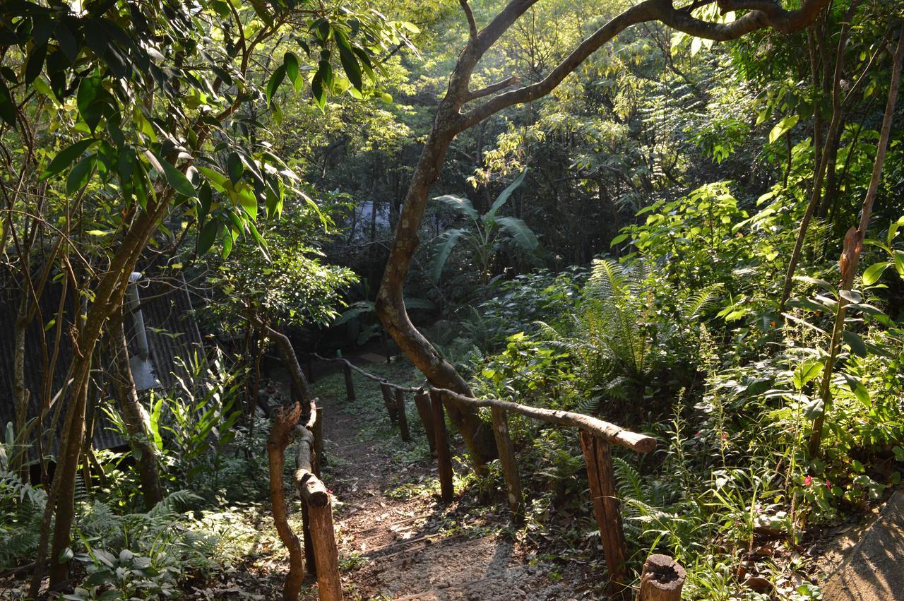 Sitio Holistico Natureza Sanadora Hotel Morro Reuter Buitenkant foto